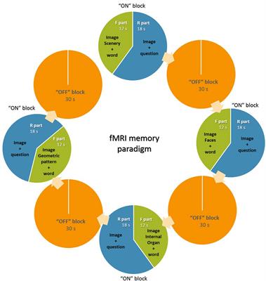 An fMRI Study of Adult Brain Cortical Activation Following Intensive Learning